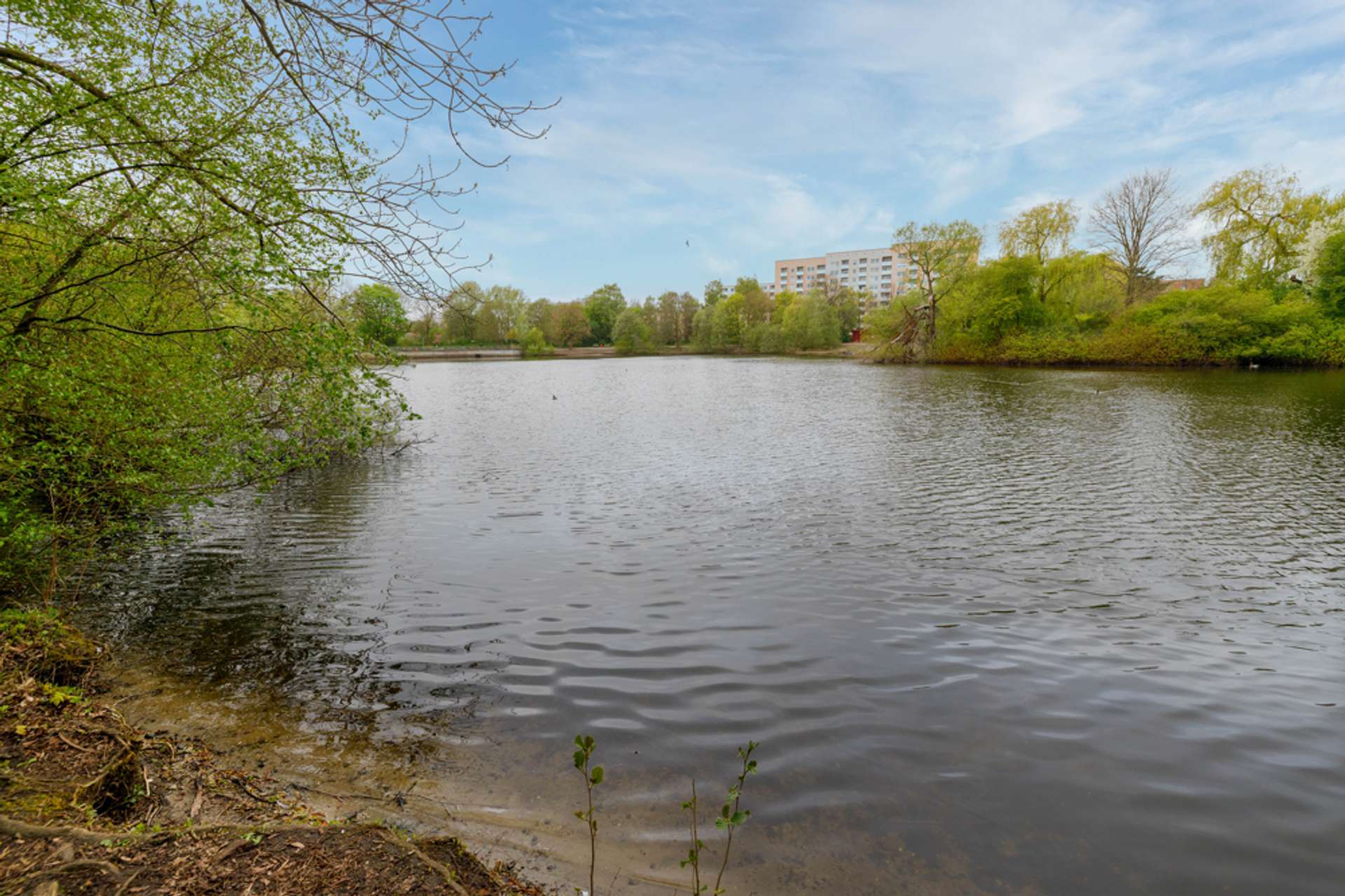Appelhoffweiher
