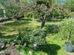 Garten von der Terrasse aus - In den Knick kommen - Renovierungsbedürftiges Einfamilienhaus in ruhiger Lage von Hamburg-Sasel